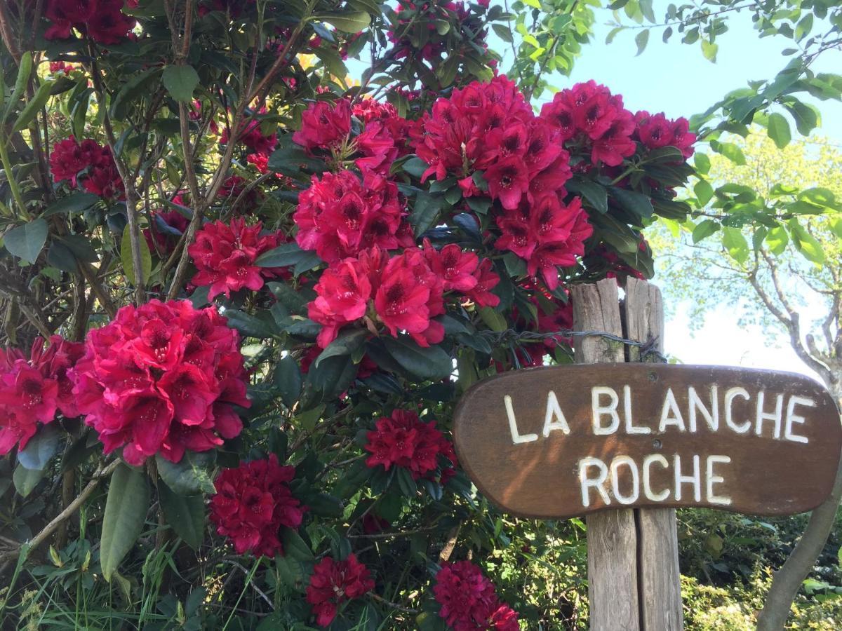 Bed and Breakfast La Blanche Roche Sourdeval Екстер'єр фото