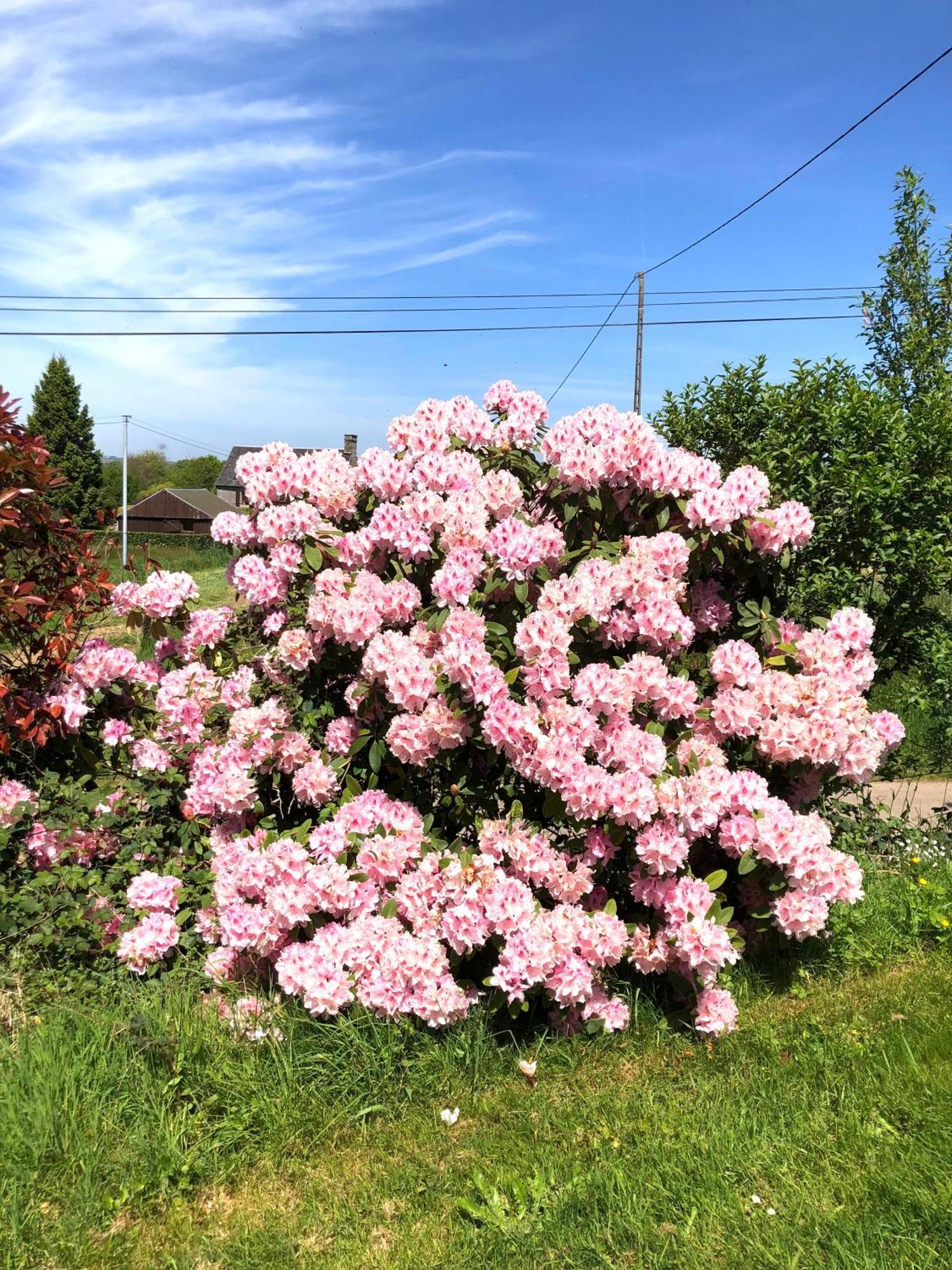 Bed and Breakfast La Blanche Roche Sourdeval Екстер'єр фото